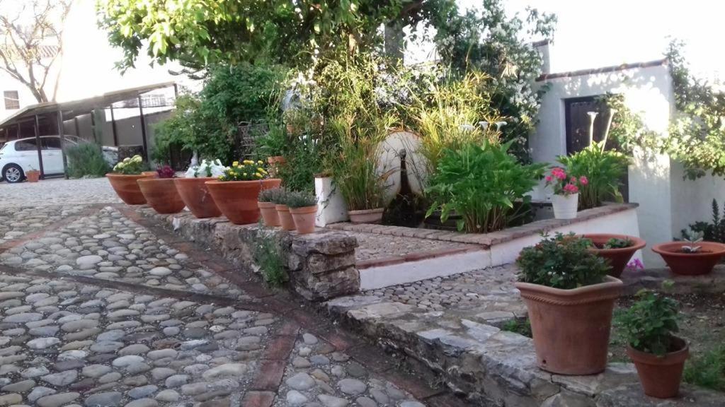 Casas De Almajar Villa Prado Del Rey Luaran gambar
