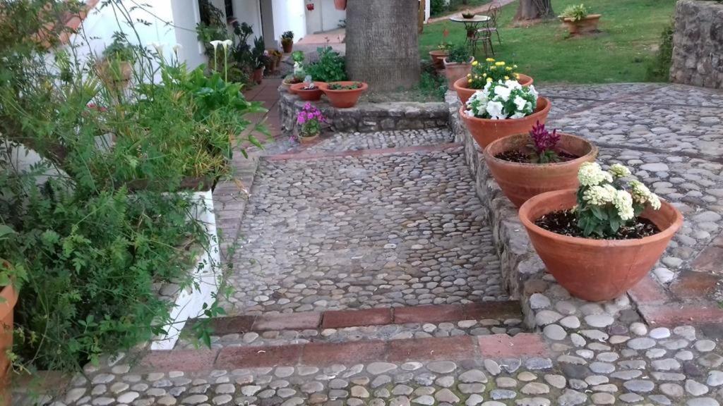 Casas De Almajar Villa Prado Del Rey Luaran gambar